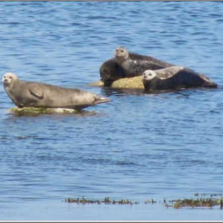 Готель An Cuan Bowmore Екстер'єр фото